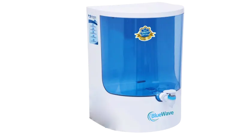 BLUE WAVE 🌊 Dolphin 🐬